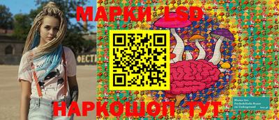 гидропоника Кингисепп