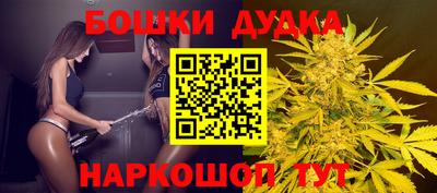 гидропоника Кингисепп