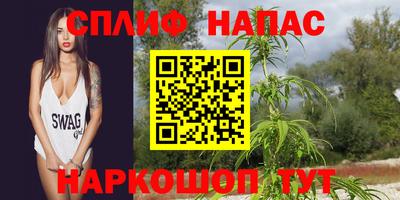 прущие грибы Кимры