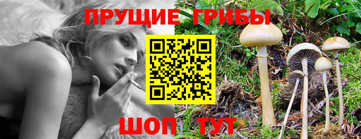 Псилоцибиновые грибы мухоморы  Вход с VPN  Благовещенск 