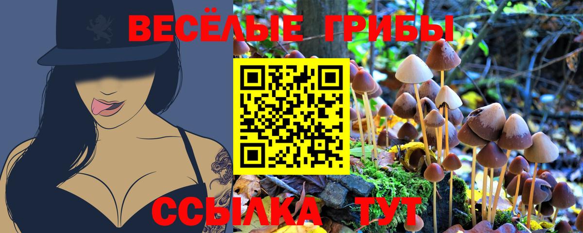 Псилоцибиновые грибы Psilocybe Благовещенск